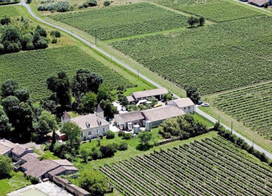 winery and castle on sale Bordeaux