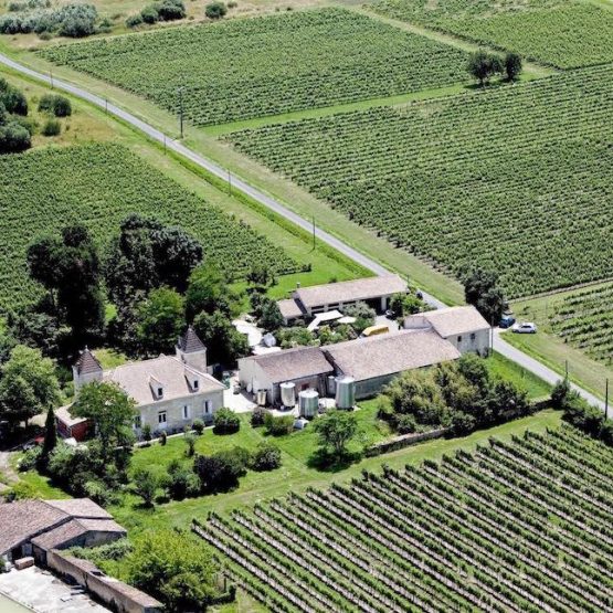 Vineyards, wine properties and parcels of vines for sale in France