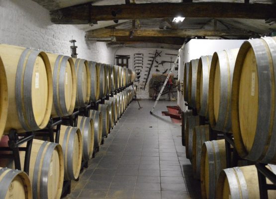 Propriété viticole à vendre près Bordeaux